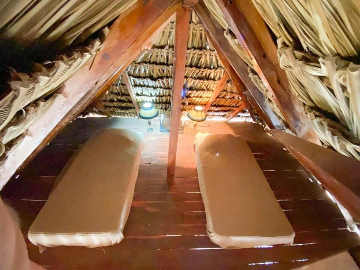 Casa Tropicana إل كويو المظهر الخارجي الصورة