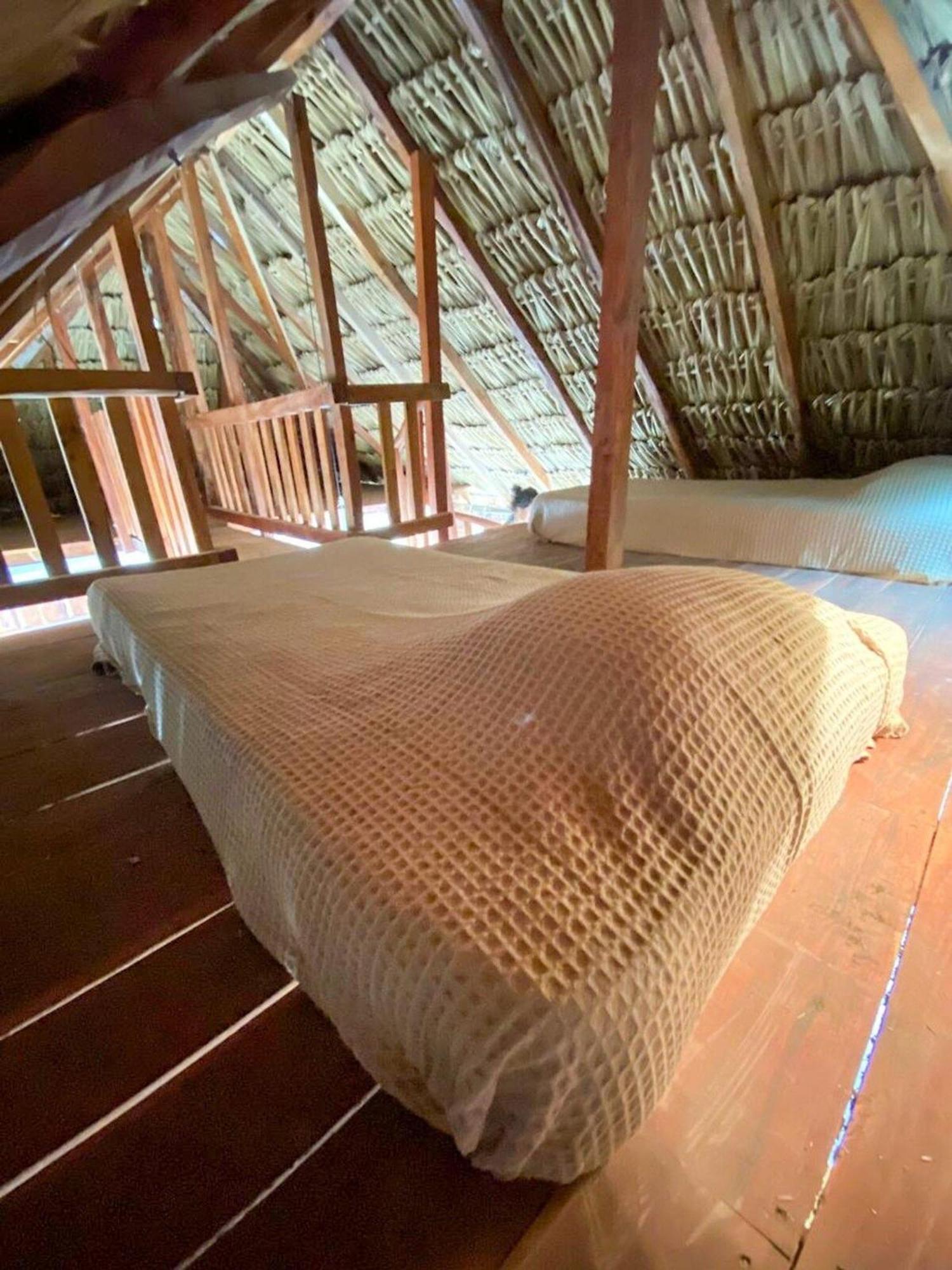 Casa Tropicana إل كويو المظهر الخارجي الصورة