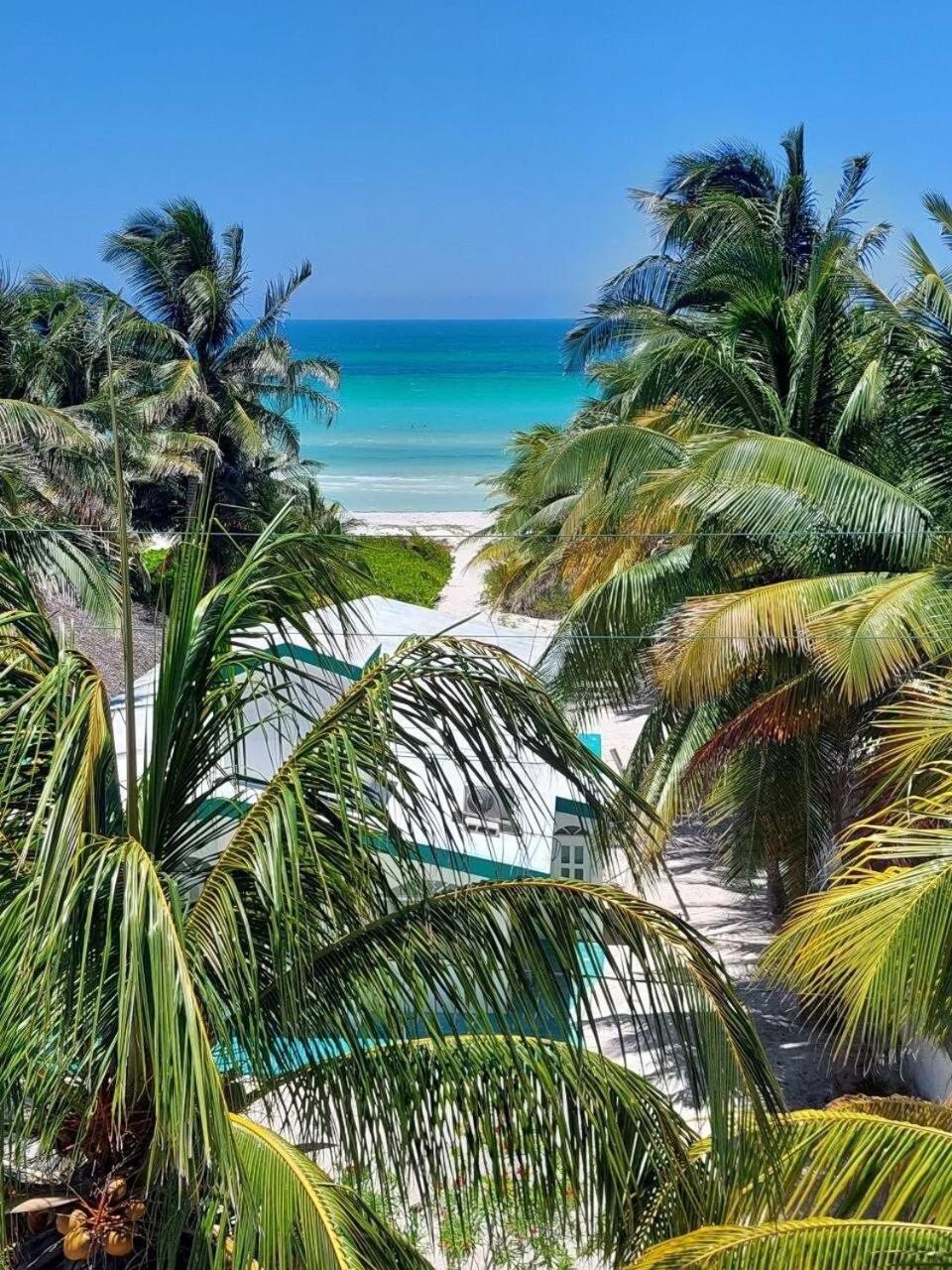 Casa Tropicana إل كويو المظهر الخارجي الصورة