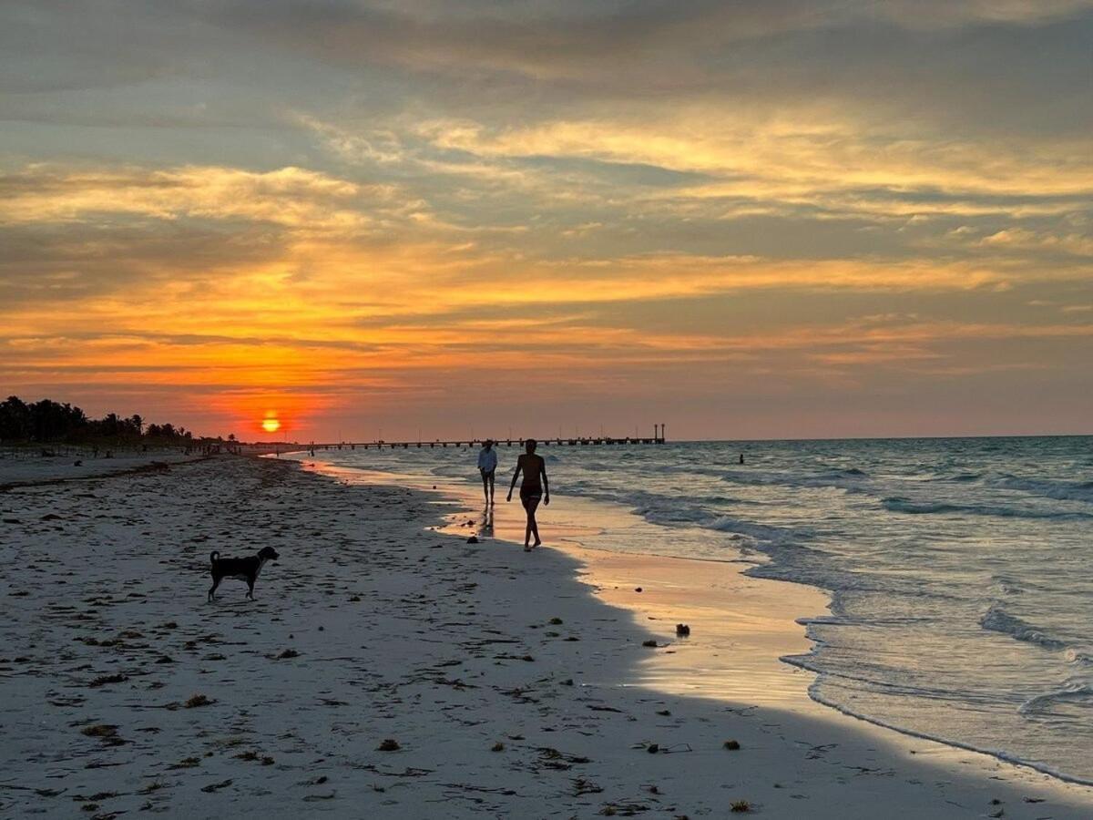 Casa Tropicana إل كويو المظهر الخارجي الصورة