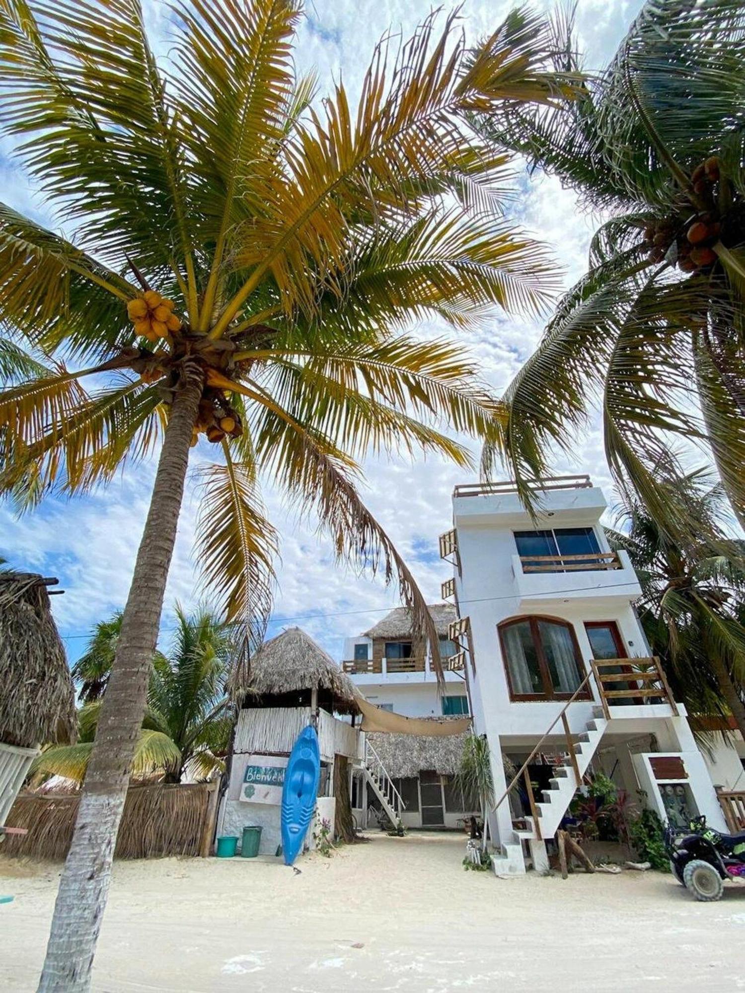 Casa Tropicana إل كويو المظهر الخارجي الصورة